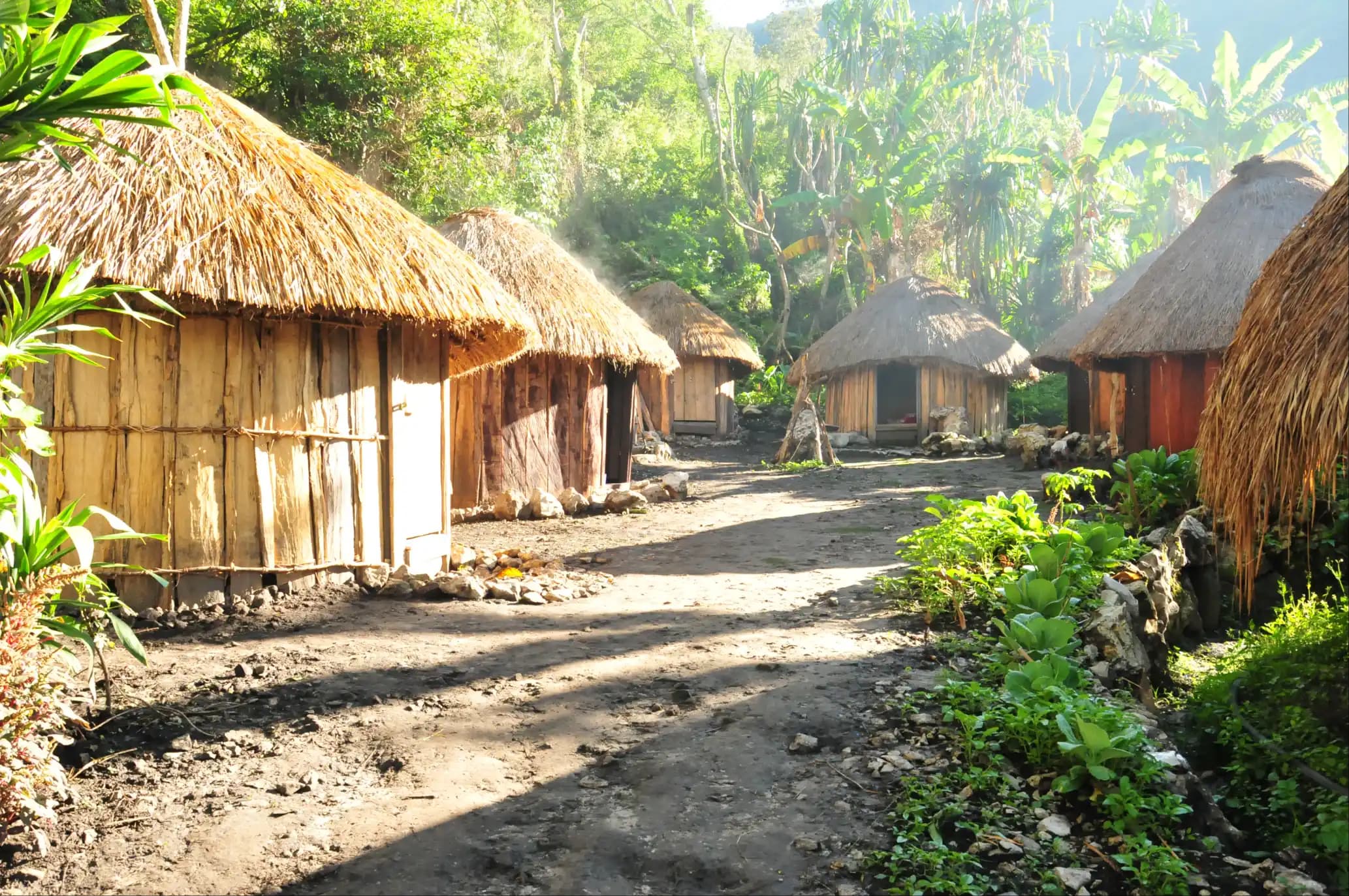 Struktur Pemerintahan Papua Pegunungan